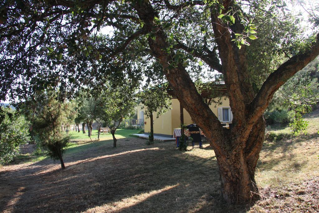 Agriturismo S'Arxola Teulada Exterior photo